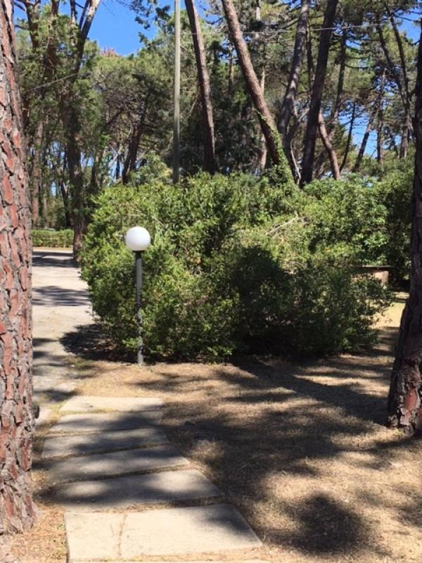 Maremmare Tuscany Apartments Principina a Mare Eksteriør bilde